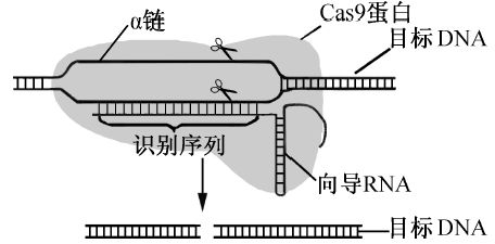 2020年诺贝尔奖包含哪些高考考点？多科大梳理！不看吃亏~